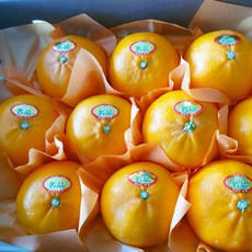 [농장직송] 제주 프리미엄 고당도 천혜향 15brix, 1개, 3kg