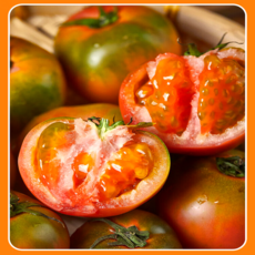 [초특가할인] 당일수확 고당도 프리미엄 대저 짭짤이토마토, 1개, 짭짤이(S) 1kg