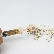 파충류 피딩 주사기 안전한 주사기 구내염 방지, 1개, 5cc