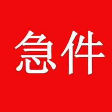 急件處理!急件處理!! 棒球訓練器材快速出貨服務, 1個