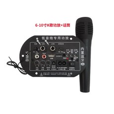 通用型功放板 話筒功能, 1個, 功放版