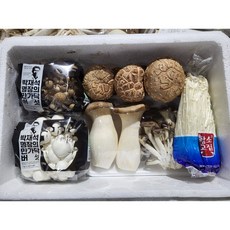 버섯팡팡 국내산 모듬버섯 샤브샤브버섯 직접경매 모듬버섯, 1박스, 1kg 내외