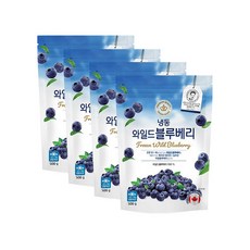 생활앤 냉동 와일드 블루베리(캐나다) 500g x 4팩, 4개