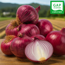 국내산 함양 양파 햇양파 자색양파 적양파, 1개, 3kg(대중)
