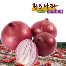 (황토나라)2025년 전남 무안 햇자색양파 단맛과 신선함이 그대로(중.대) 3kg. 5kg.(특)10kg, 10kg, 1개