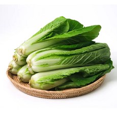 의령농산 건강채소 국내산 얼갈이 700g/1kg/2kg, 1박스, 500g