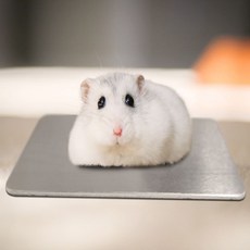 알루미늄 쿨매트 여름 아이스 깔개 방석 스몰