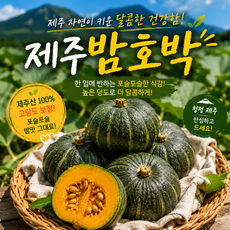 [재구매1위] 제주 미니밤호박 밤호박 국내산 고당도, 1박스, 2kg 로얄과