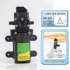 고압 나무농약 소형 전기 펌프 살포 과일 고전력 모터, 521 펌프(건 셧다운)