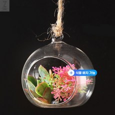 픽만 테라리움 플랜테리어 미니어처 투명볼 케이스 5쌍 DIY키트, 8cm