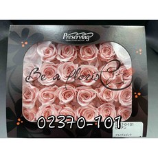 花藝夢 日本大地農園不凋永生玫瑰花 02370/02378 24輪單色乾燥花 (單朵計價), 101, 101