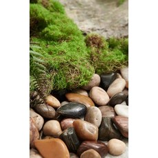 모조 조화 인조 대나무 1M 오죽 2M 대나무소품 대형, 1개, 자갈 10kg