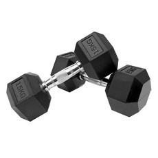홈짐 홈트 PEV 헥사곤 덤벨 육각 아령, 2개, 15kg