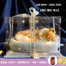 오아모먼트 팡쿠 숨쉬는고양이인형 귀여운 고양이 3종 장식 야옹이, 1개, F. 호흡법 오렌지 고양이 + 투명 선물 상자 숨을 쉴