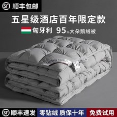 구스이불세트 거위 겨울 봄 가을 싱글 구스다운 호텔 이불 한파 겨울용 침구 코어 호텔이불, B. 그레이(120수 항균 진드기방지)