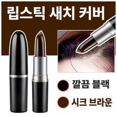 [라핀다] 포켓쏙 새치 커버 스틱, 1개, 시크브라운