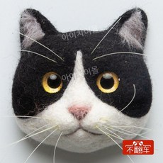양모펠트 니들펠트 고양이 얼굴만들기 DIY 재료패키지 공예 취미, L 재료패키지