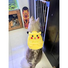 강아지 대형견 백팩 리트리버 유치원 소형견 배트맨 가방, 1개, 픽업