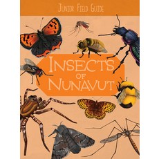 (영문도서) Junior Field Guide: Insects of Nunavut: English Edition Paperback, Inhabit Education Books Inc., 9781774504741