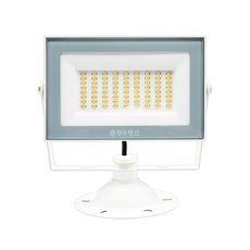 장수램프 LED 투광등 30W 화이트 (방수등급 IP67) 천장등, 1개, 화이트/전구색(오렌지색)