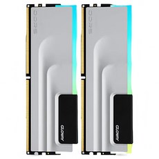 글로웨이 DDR5 신무 시리즈 하이닉스 M다이 RGB 데스크톱 메모리 그레이 6000MHz C30 16GB 2개입, 1세트, GW6000N16G-GM 1세트, GW6000N16G-GM