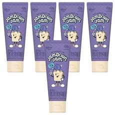 복음자리 짜먹는 잼다운잼 블루베리, 100g, 5개