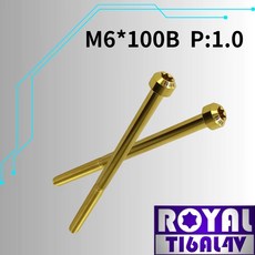 ROYAL 鈦合金螺絲 M6*100B P:1.0, 1個