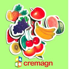 크레망 국산 실사 그림 자석 퍼즐 놀이 - 과일, 그림자석_과일