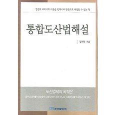 KSI 整合破產法解說, 金基進 著