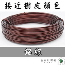 AUNT 園藝鋁線 古銅色軟鋁線 盆栽造型 空氣鳳梨雕塑工具 1.0MM 3.0MM 直徑 5米, 1個, 3.0MM 直徑 5米/包