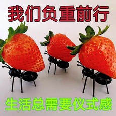 螞蟻水果叉 套裝 派對蛋糕點心裝飾籤, 1個, 一隻小螞蟻,螞蟻搬家 水果叉套裝, N/A