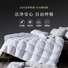 SD 다운 퀼트 95 화이트 구스 다운 호텔 퀼트 코어 더블 겨울 이불 다운 항균 솜털, 1.5x2.0m 겨울 이불 2500g 흰색