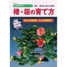 近代出版社 茶花.櫻花培育法：家庭園藝必備，輕鬆掌握茶花與櫻花種植技巧