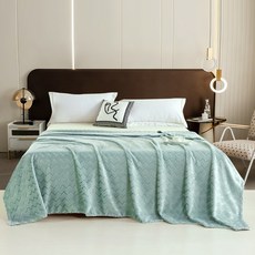 부드럽고 초미세 섬유 담요 광택 색상 단색 담요