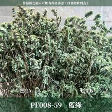 CANLONGER FLOWER 水晶花 乾燥花材, 59藍綠,原裝(超取會修剪適合裝箱尺寸), 1個
