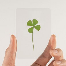 네잎클로버 행운카드 책갈피 투명 코팅 미니카드 봉투, 1개