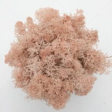 인공 녹색 식물 영원한 생명 DIY 잔디 홈 룸 미니 가짜 50g, 8)10g, khaki