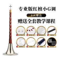 新藝 紅檀嗩吶樂器全套 初學者專業演奏型D調喇叭, 1個, 【紅檀】小G調【白碗】+8大贈品