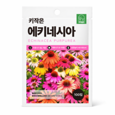 주주씨앗 키작은 에키네시아 씨앗 100립 다색혼합 노지월동 다년생 꽃씨, 1개