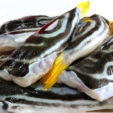 남해안 손질 복어 미니복 500g 까치복 참복 황복 쫄복 6-10미내외 복어국 복어자격증소유, 손질 미니복 500g, 1개