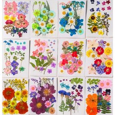 압화 꽃 F형 세트 공예 재료 레진 아트 꽃압화 드라이 플라워 장식 보존화 만들기, 01.봄바람(1세트)