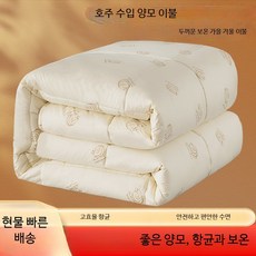 겨울용 극세사 차렵이불 세트 포근한 따뜻한 알러지케어 먼지없는 호텔식 침구, 밀크 옐로우 호주 양모 겨울 이불
