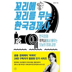 꼬리에 꼬리를 무는 한국경제사 : 한국경제 흑역사에서 배우는 오늘의 경제 교양, 김정인 저, 휴머니스트