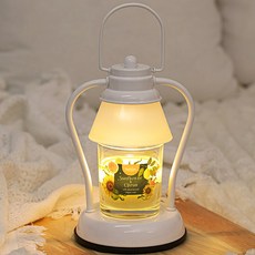 리드 글라스 캔들 125g 향초 미니 랜턴 캔들워머 선물세트, White, Sunflower&Citrus
