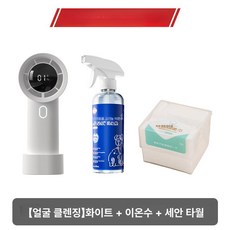 시노 미니드라이기 미니 가벼운 저소음 드라이어, 1개, 페이스클리닝 화이트 + 이온 워터 + 페이스