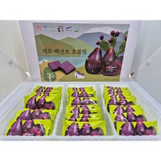 Jeju(제주) 올레둘레 백년초(사각) 초콜릿(210g)