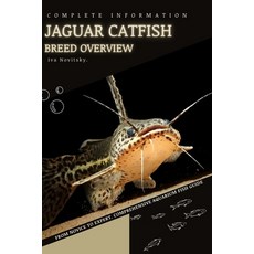 (영문도서) Jaguar Catfish: From Novice to Expert. Comprehensive Aquarium Fish Guide Paperback, Independently Published, English, 9798398664058