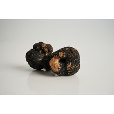 여름 트러플 못난이 파손품 50g 등 블랙 생 송로버섯 유럽산 생트러플, 1개