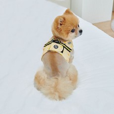 Real Pet 狗狗圓點背心胸背帶, 黃色, 1個