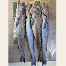 깔끔손질 반건조 코다리 4미 (대)